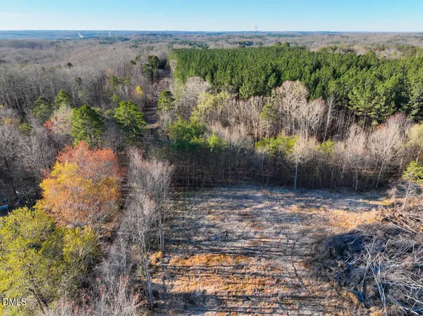 a view of a lush green field with lots of bushes