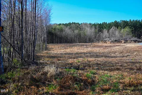 a view of a yard with trees