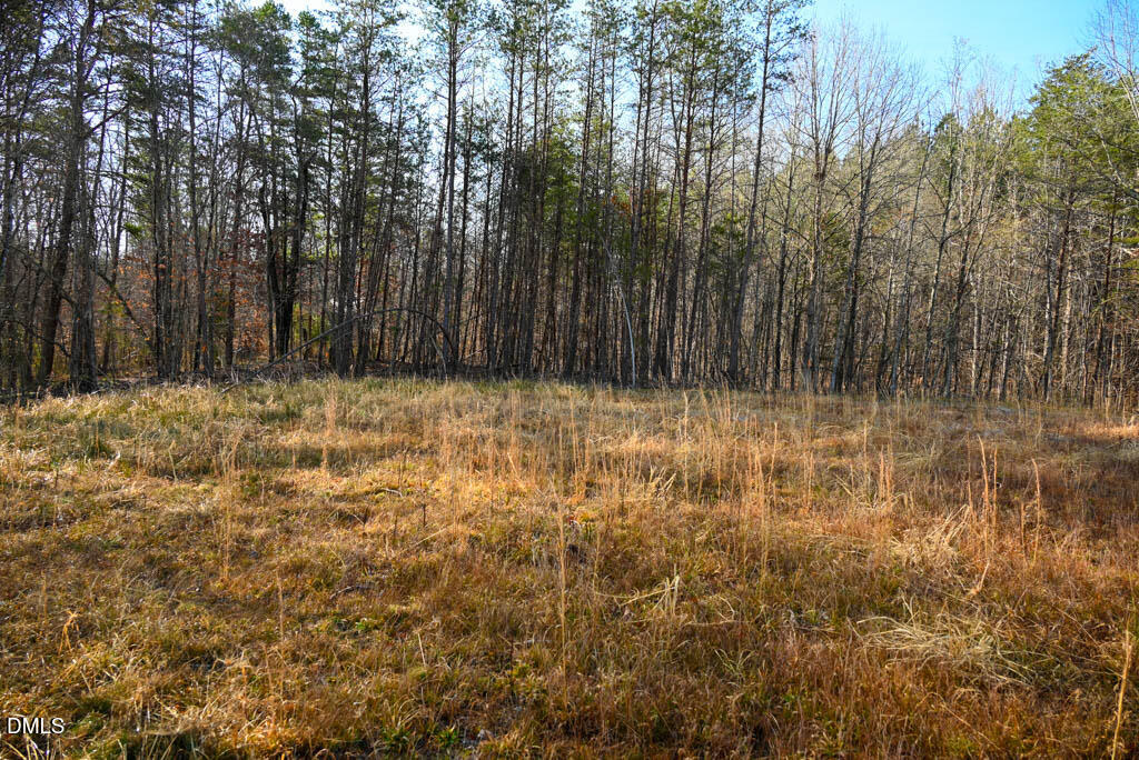 0 K Fork Road Madison, NC 27025 - Photo 24 of 36 MAD_7561