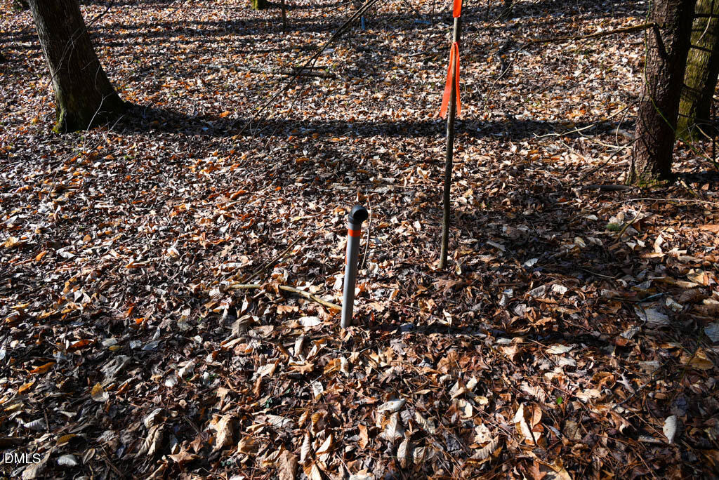 0 K Fork Road Madison, NC 27025 - Photo 3 of 36 3