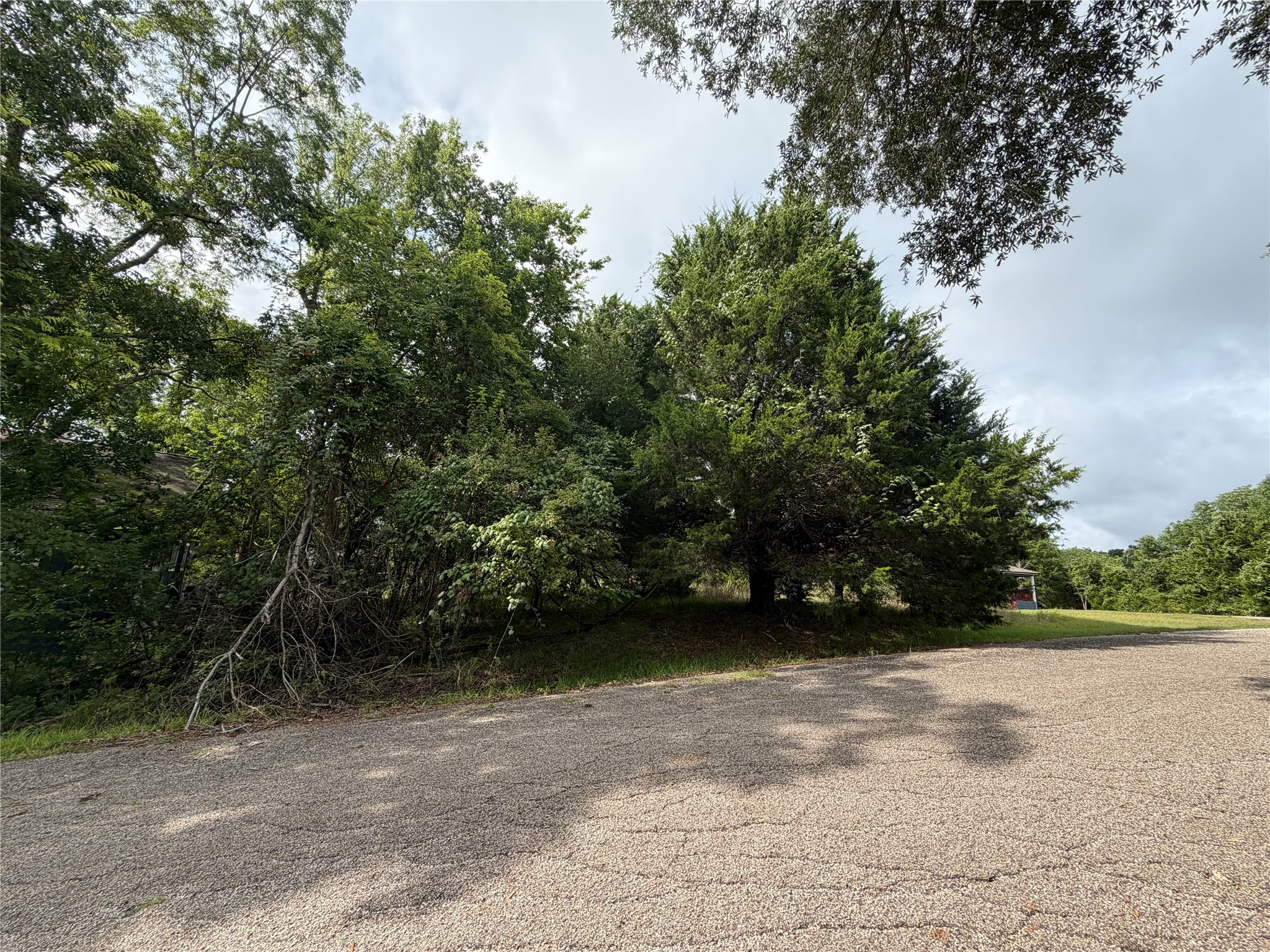 0 Timber Cove Coldspring, TX 77331 - Photo 1 of 13 Welcome to Timber Cove Lane