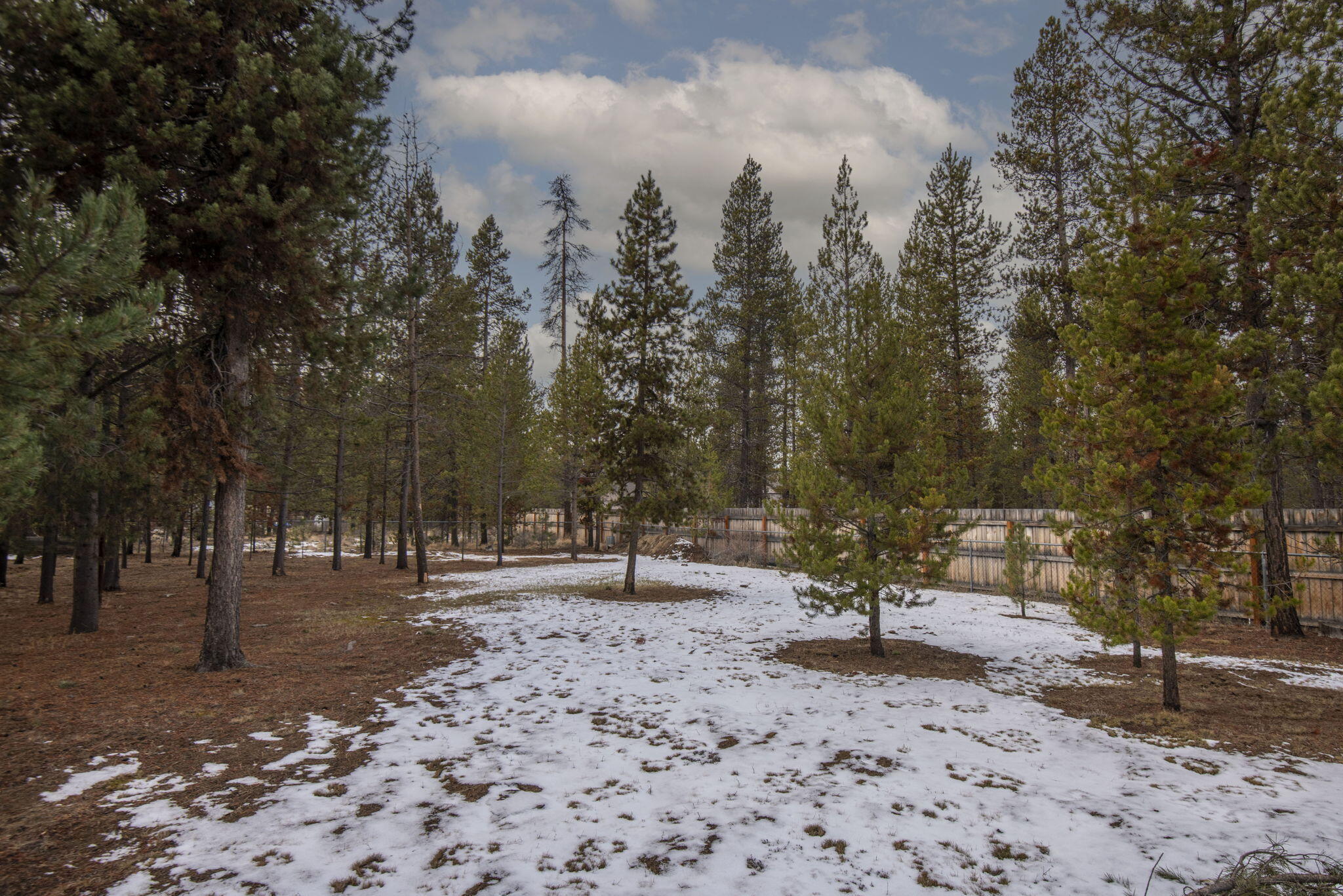 16842 Indigo Road Bend, OR 97707 - Photo 26 of 26 Treed Lot
