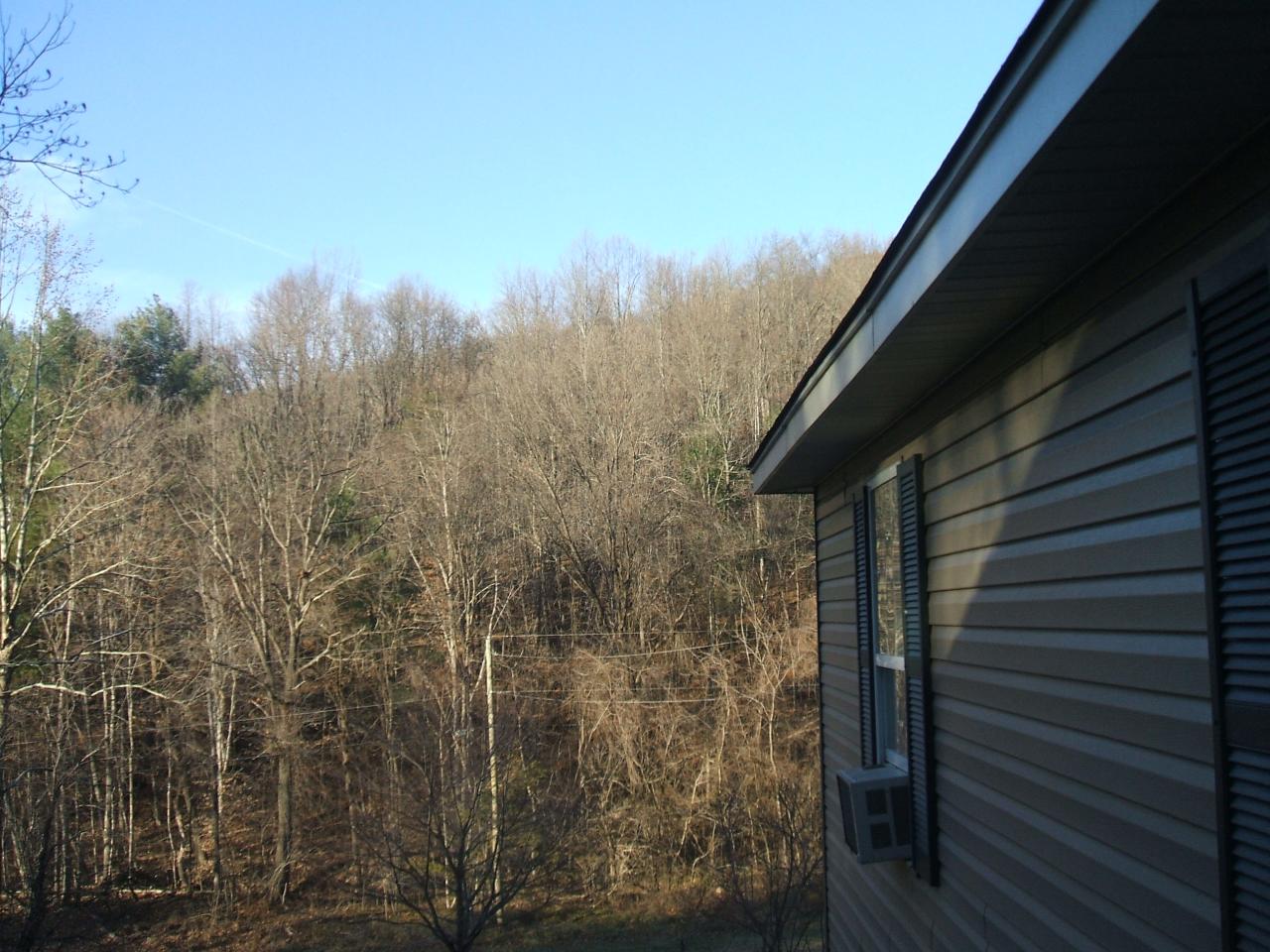 5245 Coles Road Elliston, VA 24087 - Photo 16 of 16 View From Front Porch