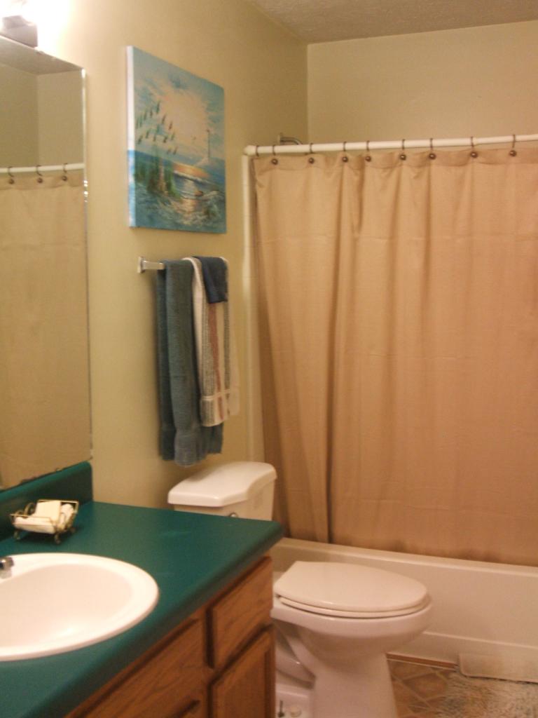 5245 Coles Road Elliston, VA 24087 - Photo 6 of 16 Main Bath
