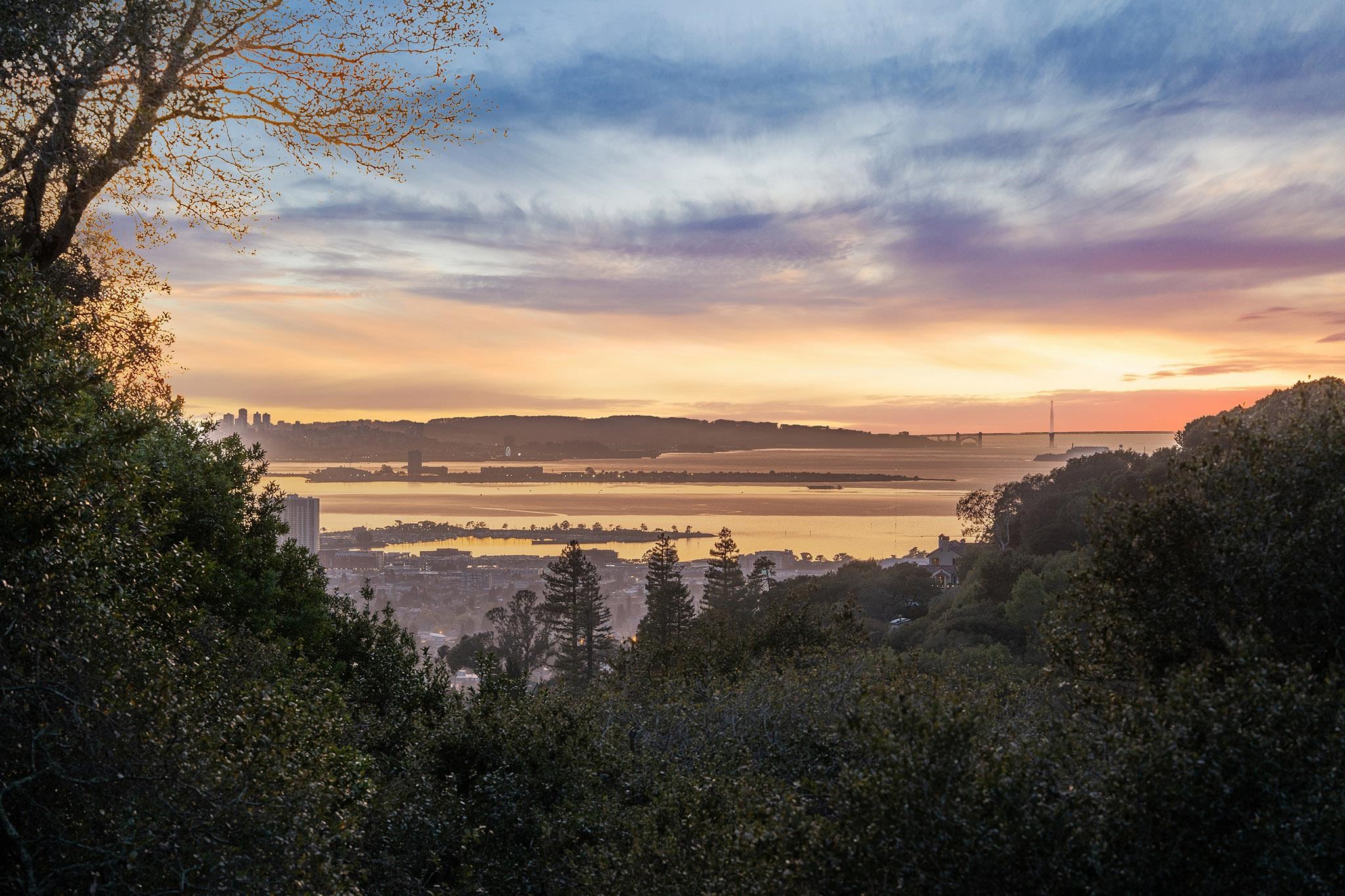 1375 Alvarado Road Berkeley, CA 94705 - Photo 9 of 40