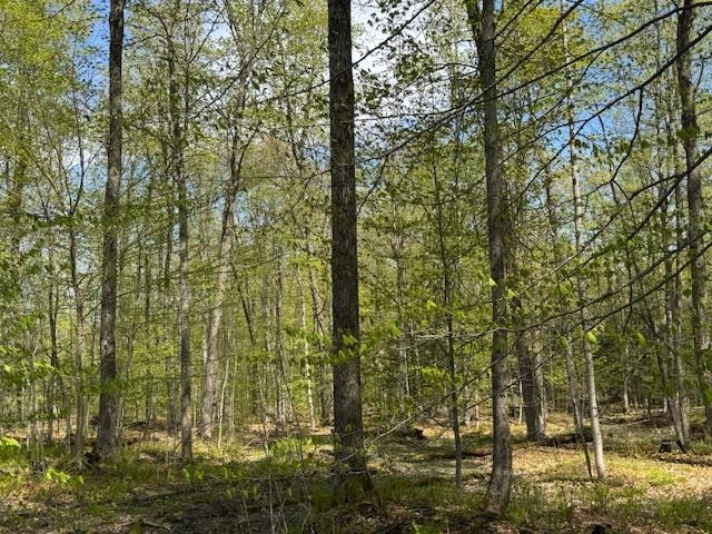 389 Young Road Williamstown, VT 05679 - Photo 8 of 18