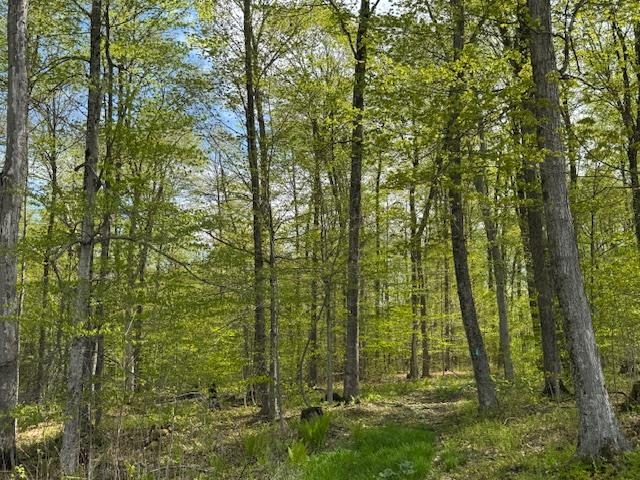 389 Young Road Williamstown, VT 05679 - Photo 10 of 18