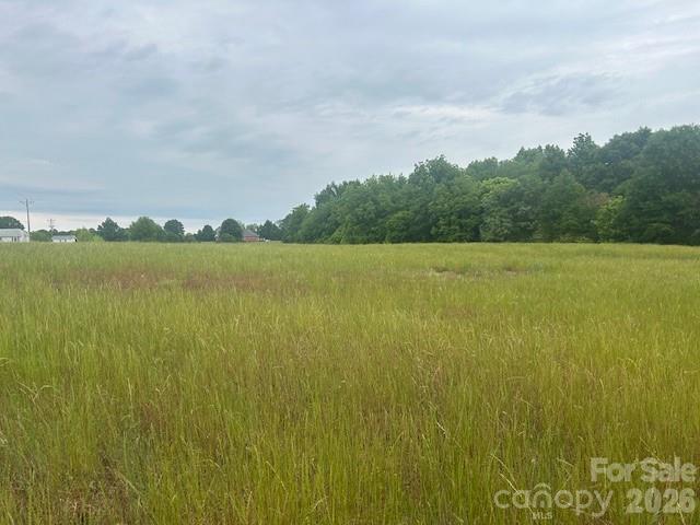 0 Old Pageland Marshville Road Wingate, NC 28174 - Photo 13 of 28
