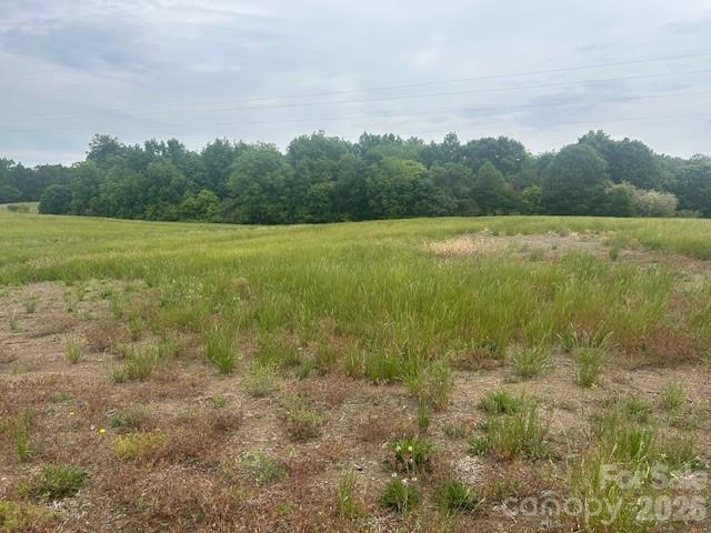 0 Old Pageland Marshville Road Wingate, NC 28174 - Photo 16 of 28