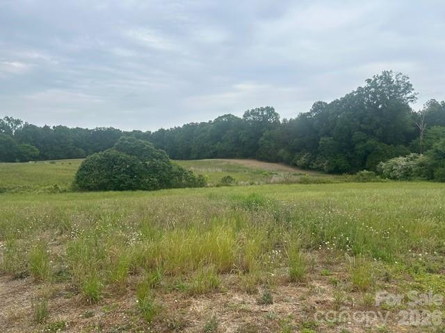 0 Old Pageland Marshville Road Wingate, NC 28174 - Photo 17 of 28