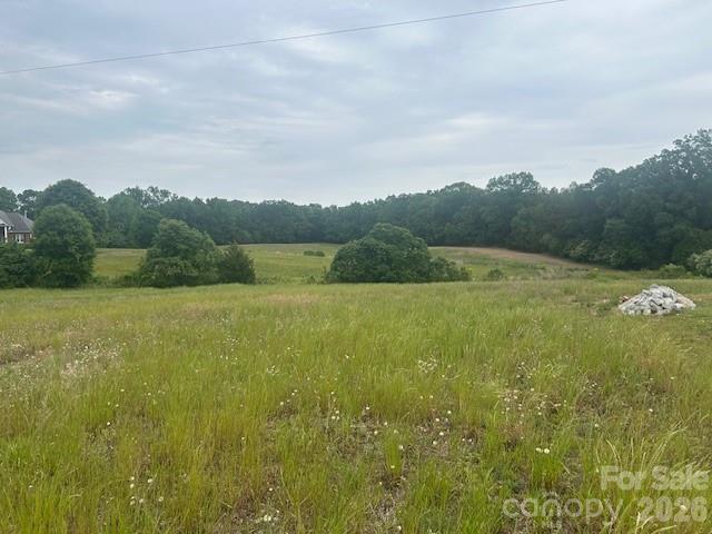 0 Old Pageland Marshville Road Wingate, NC 28174 - Photo 19 of 28