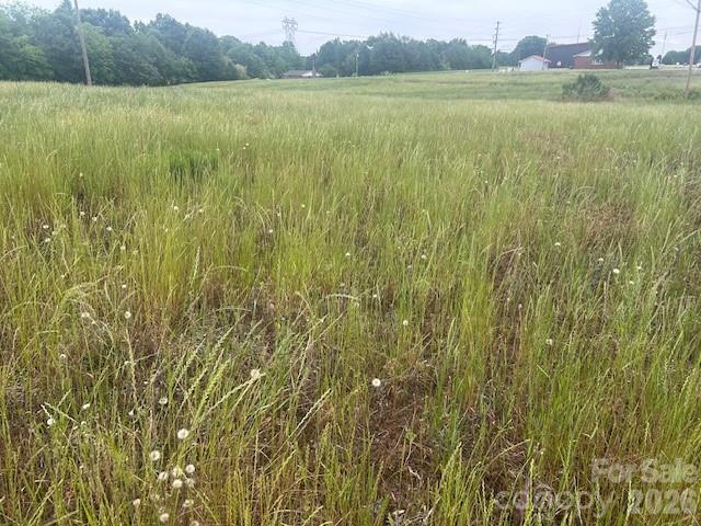 0 Old Pageland Marshville Road Wingate, NC 28174 - Photo 22 of 28