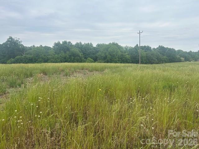 0 Old Pageland Marshville Road Wingate, NC 28174 - Photo 23 of 28