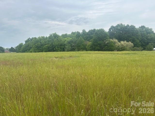 0 Old Pageland Marshville Road Wingate, NC 28174 - Photo 3 of 16 a view of an ocean from a beach
