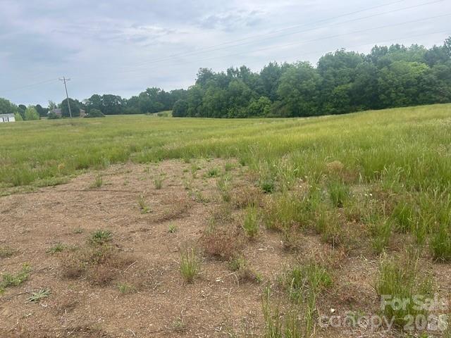 0 Old Pageland Marshville Road Wingate, NC 28174 - Photo 10 of 16 a view of field with trees in background