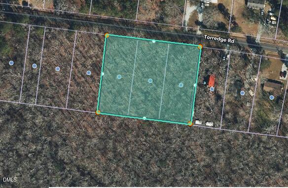 Screenshot 2026-02-12 132634_edited