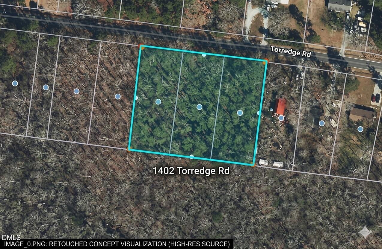 a view of a yard with a street and trees