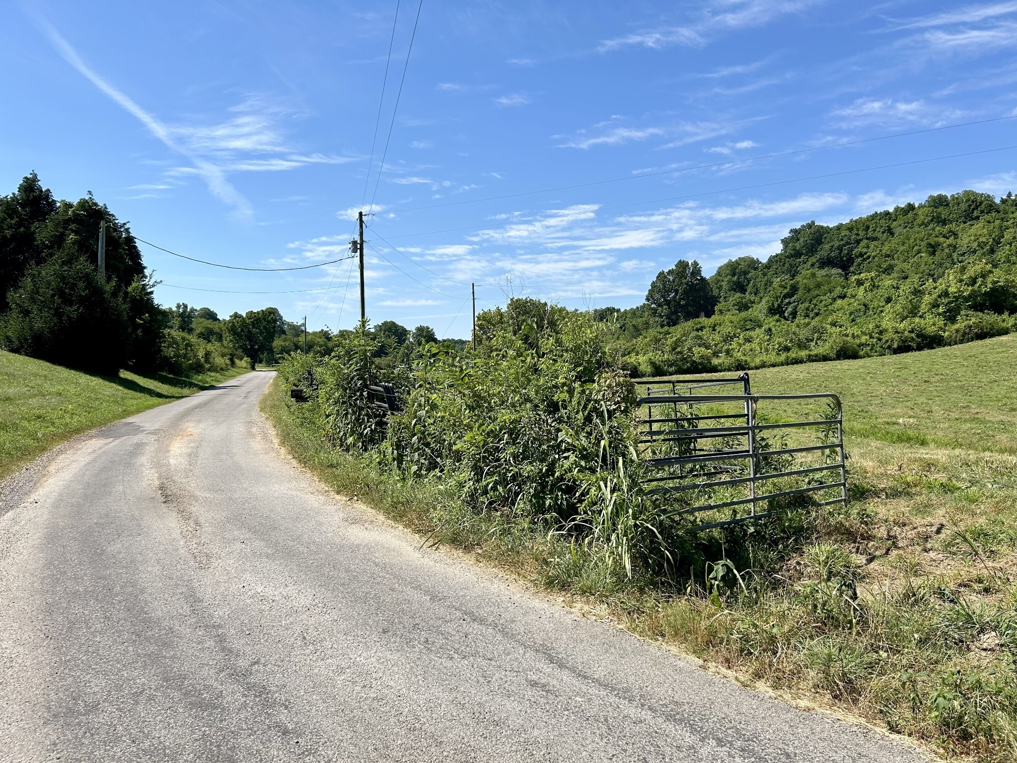 1 Ball Hollow Road Pulaski, TN 38478 - Photo 12 of 18