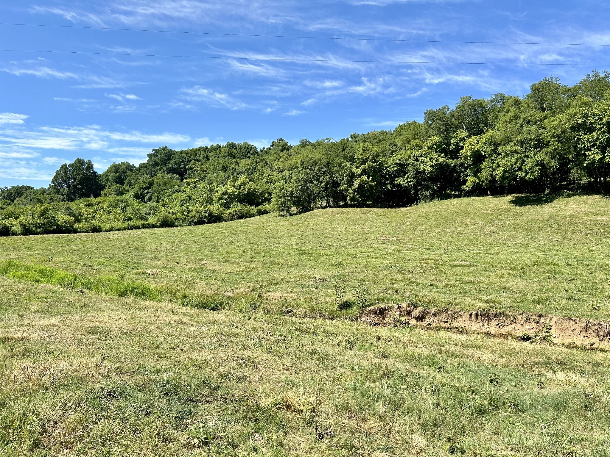 1 Ball Hollow Road Pulaski, TN 38478 - Photo 13 of 18