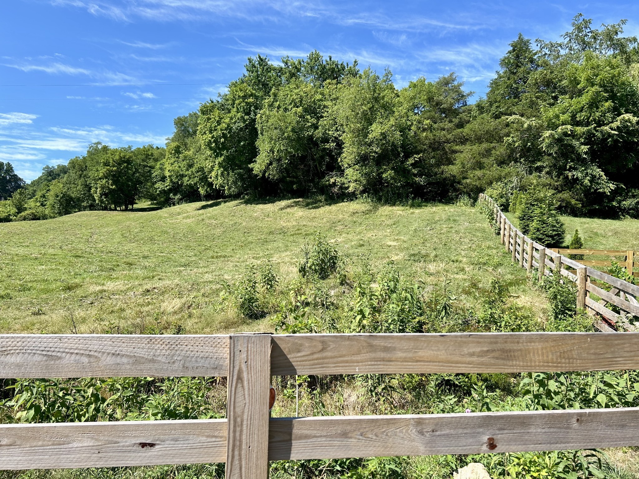 1 Ball Hollow Road Pulaski, TN 38478 - Photo 2 of 18