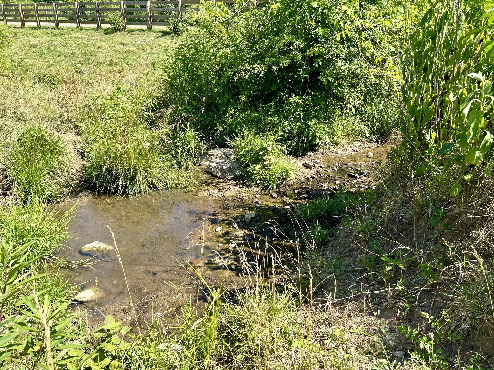 1 Ball Hollow Road Pulaski, TN 38478 - Photo 5 of 18
