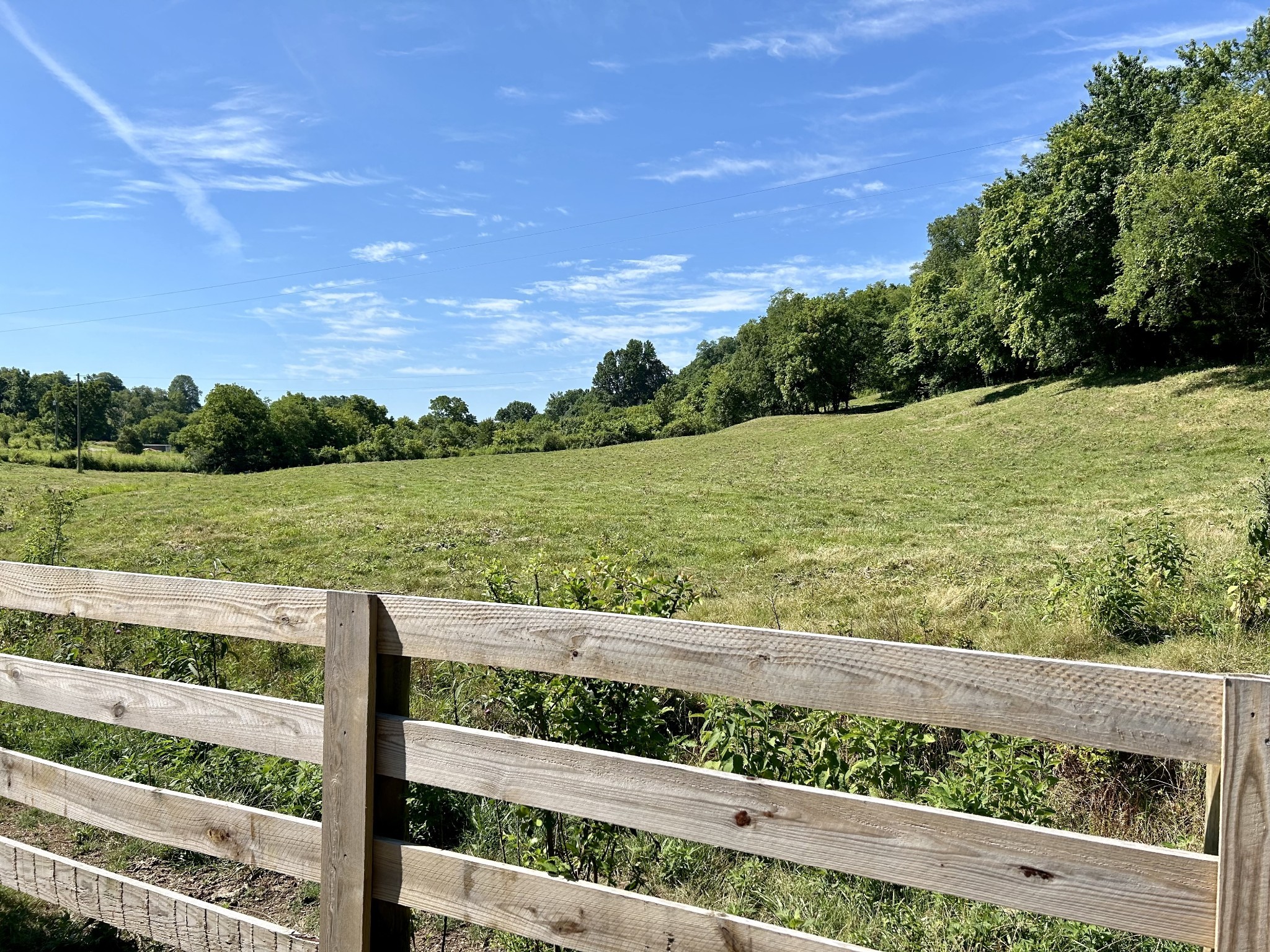 1 Ball Hollow Road Pulaski, TN 38478 - Photo 6 of 18