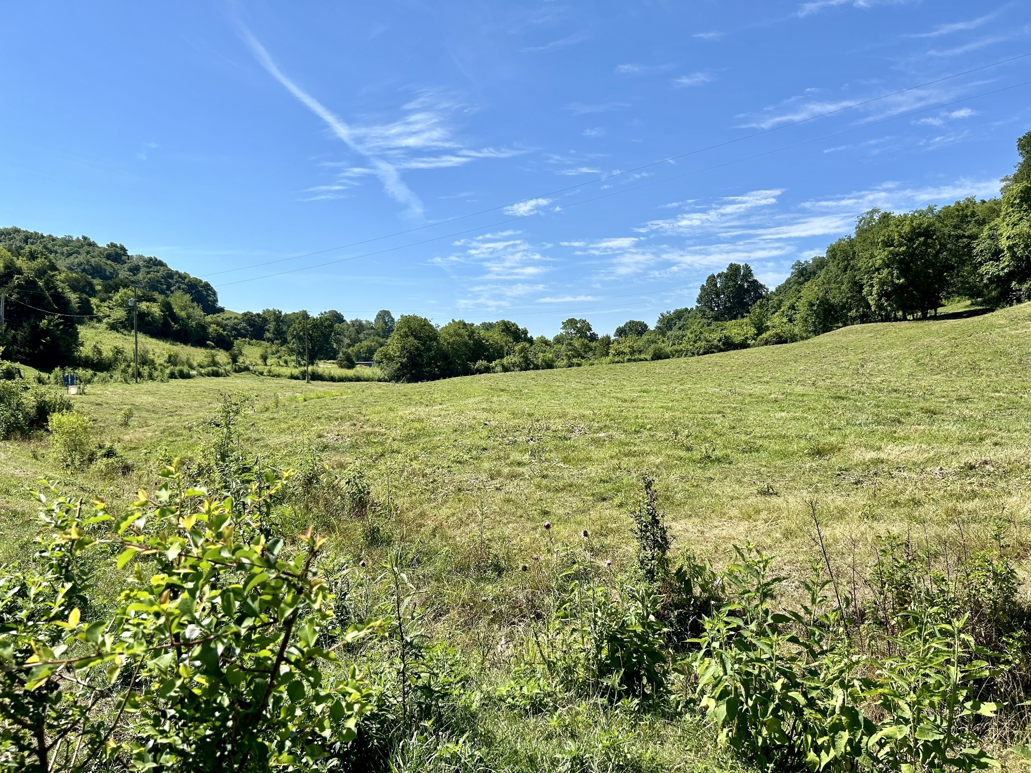 1 Ball Hollow Road Pulaski, TN 38478 - Photo 7 of 18