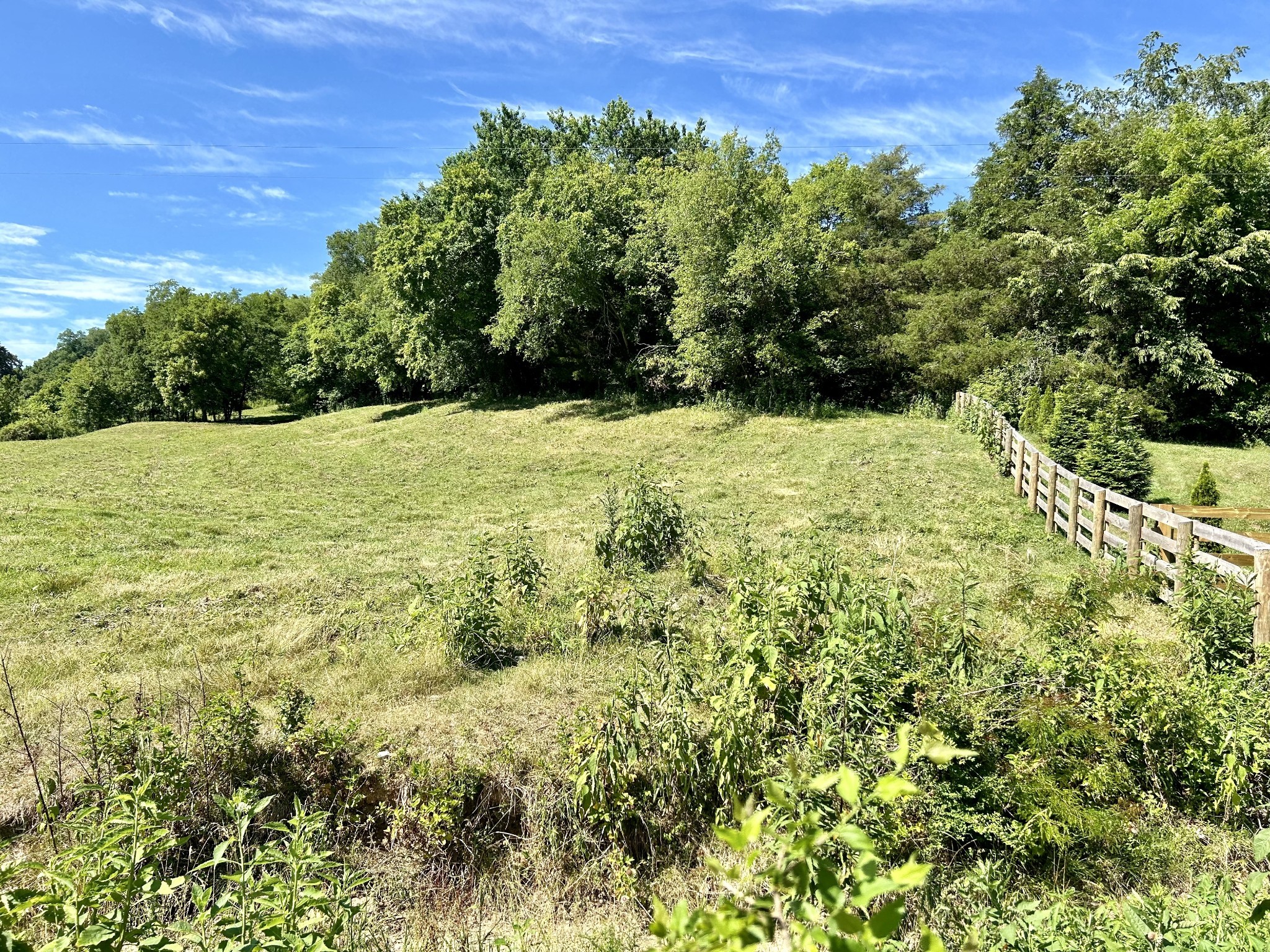 1 Ball Hollow Road Pulaski, TN 38478 - Photo 9 of 18