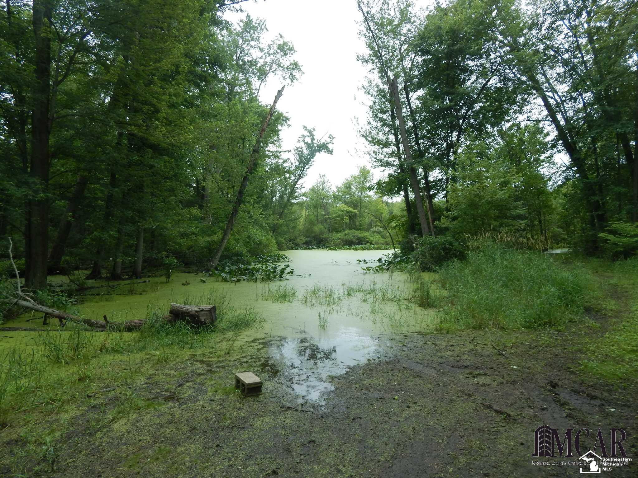 12695 West Carleton Road Clayton, MI 49235 - Photo 25 of 38 canal to spring fed lake