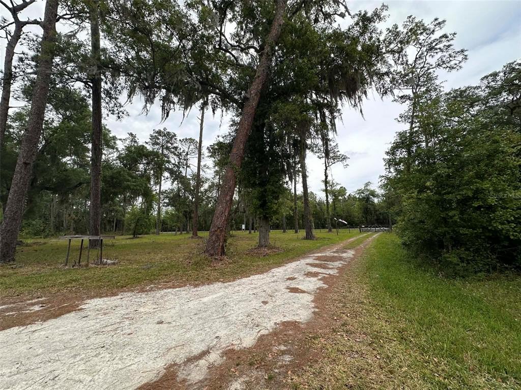 6800 Northeast 175th Street Road Citra, FL 32113 - Photo 6 of 27 a view of a park