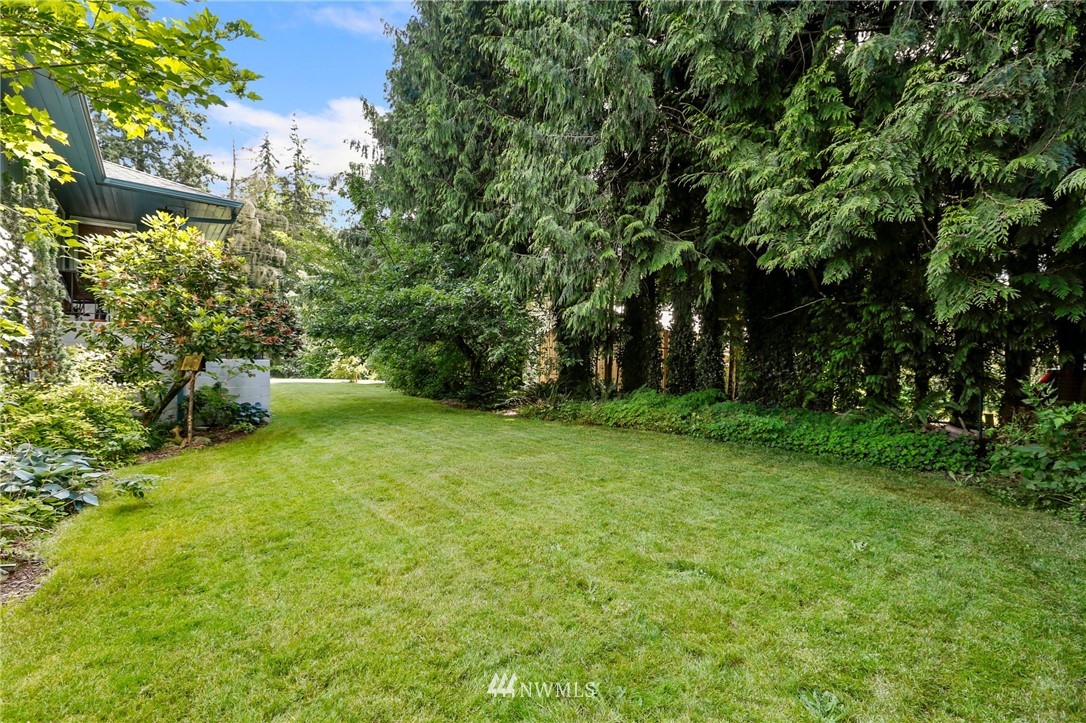 717 224th Street Southwest Bothell, WA 98021 - Photo 36 of 40 a view of a yard with a tree