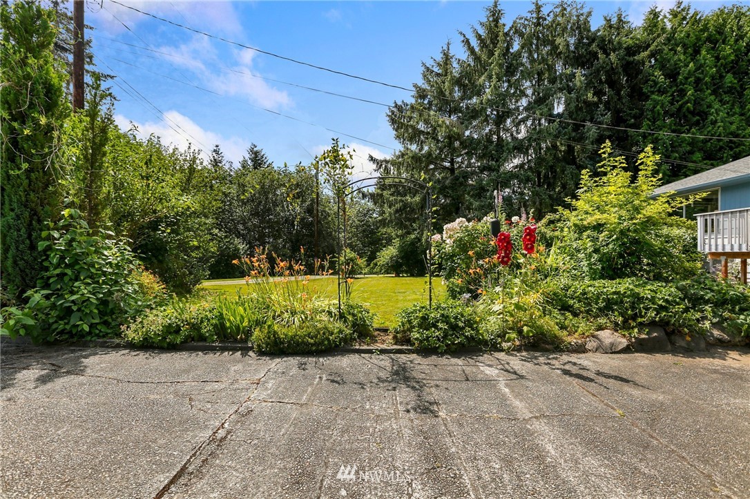 717 224th Street Southwest Bothell, WA 98021 - Photo 38 of 40 a view of a park with large trees