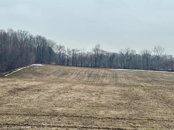 $225,000 | 210 West Wagner Road, Buchanan, MI 49107