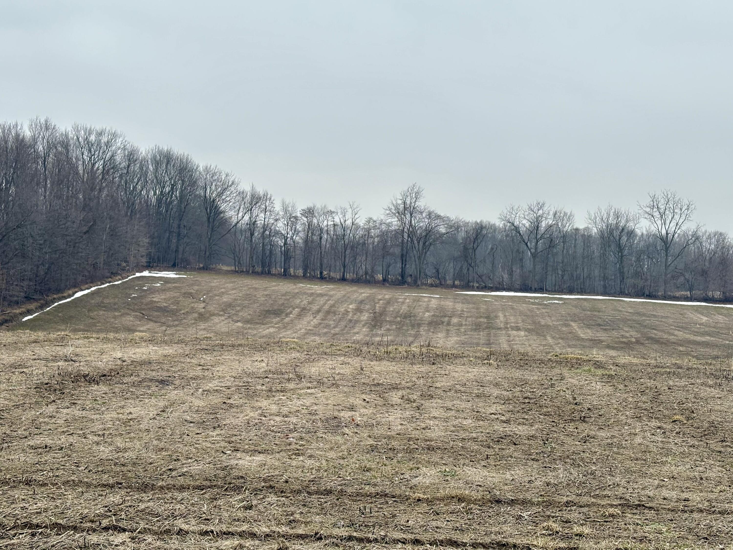 210 West Wagner Road Buchanan, MI 49107 - Photo 2 of 4 IMG_1858