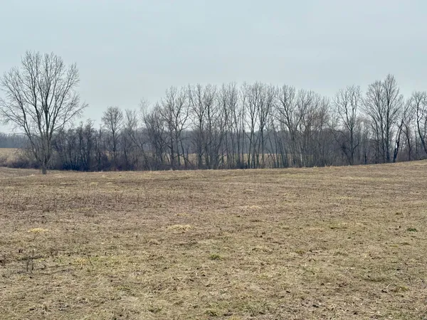 $225,000 | 210 West Wagner Road, Buchanan, MI 49107