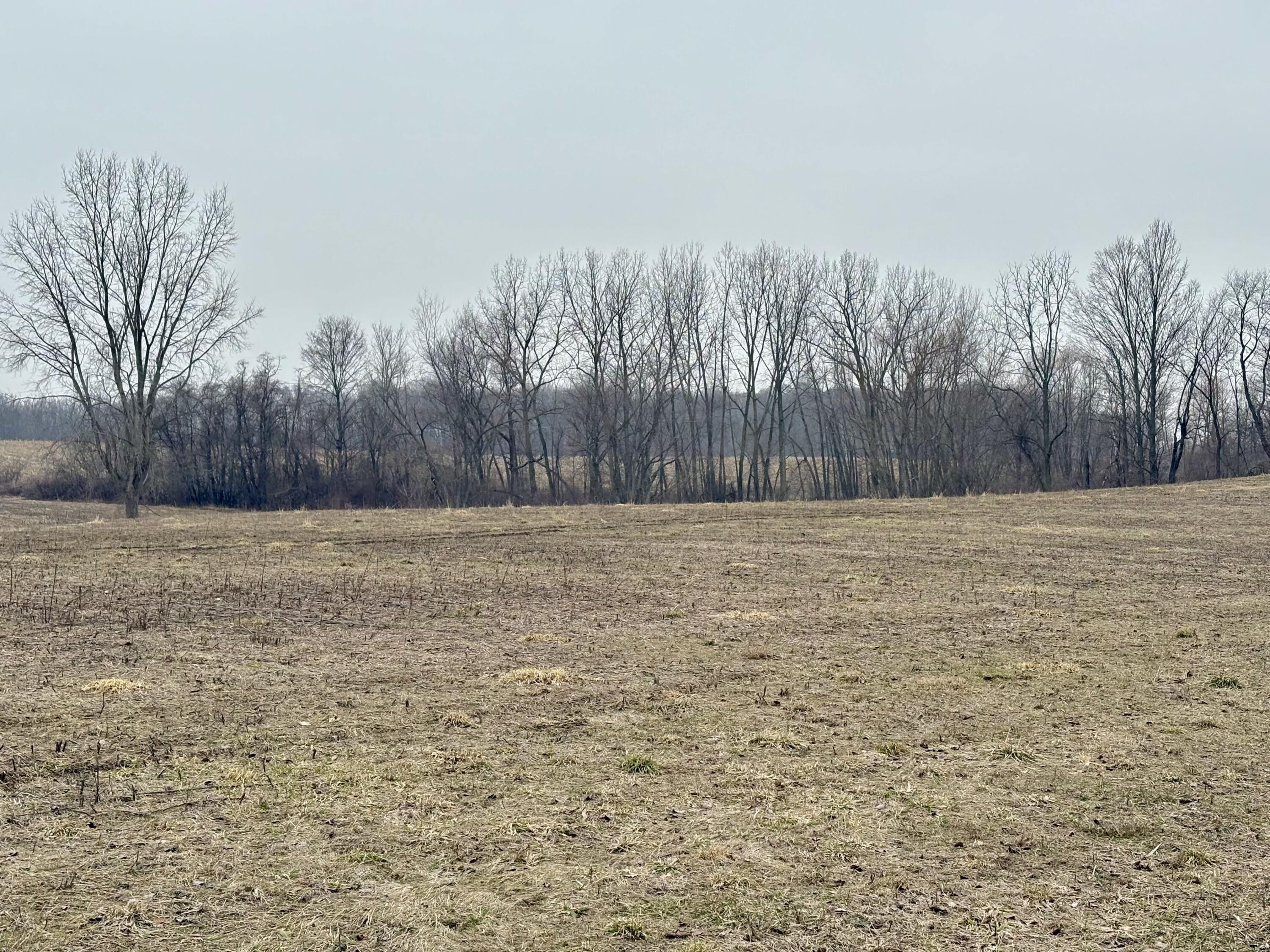 210 West Wagner Road Buchanan, MI 49107 - Photo 3 of 4 IMG_1857