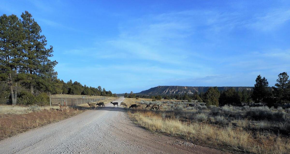 Lot 10 Sagebrush Road Ramah, NM 87321 - Photo 82 of 90 Gallery Image 82