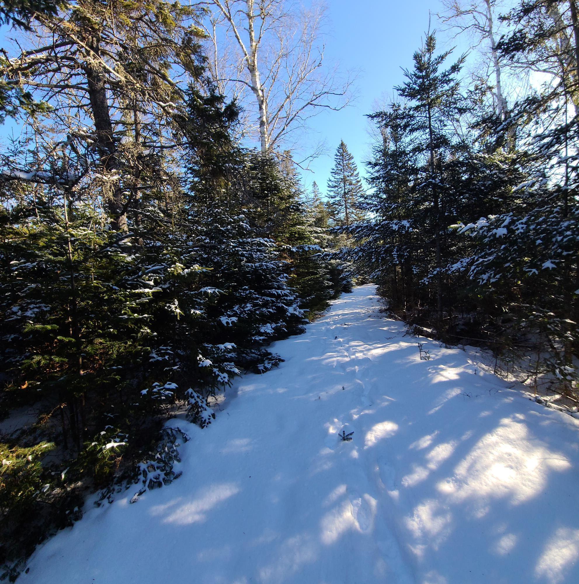 Lot 8 Pyne Cove Road Steuben, ME 04680 - Photo 16 of 28 20230201_092612