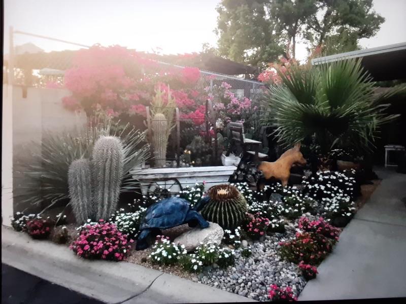 2575 South Willow, Unit 25 Fresno, CA 93725 - Photo 30 of 31 a view of a chairs and a bunch of flowers