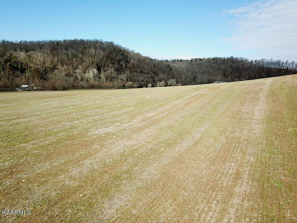 0 Holston View Road New Market, TN 37820 - Photo 4 of 9 IMG_0875-5