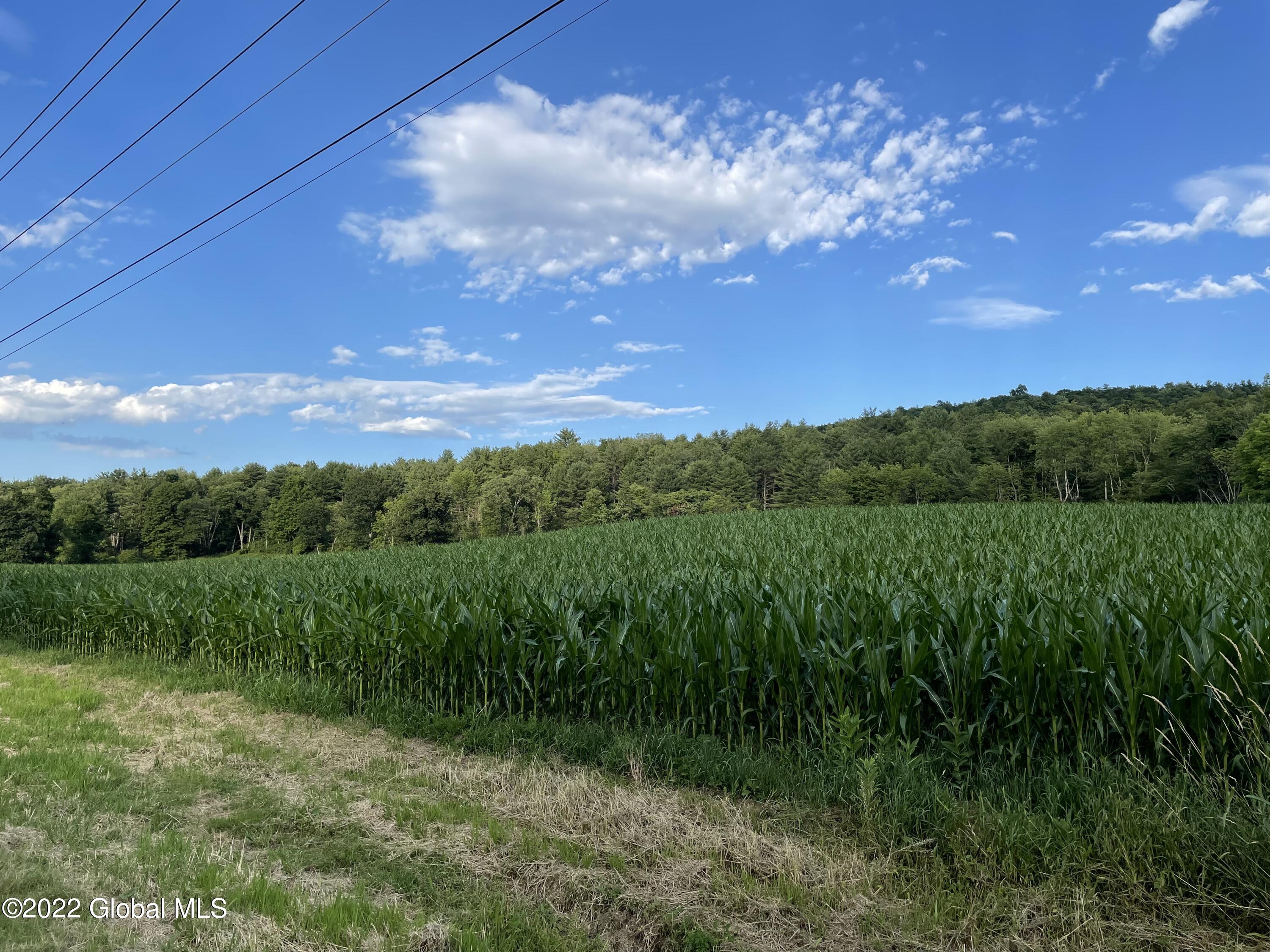 461 King Road Buskirk, NY 12028 - Photo 3 of 12 80A2DA8B-7579-42B1-8B2B-5BD1A568B397