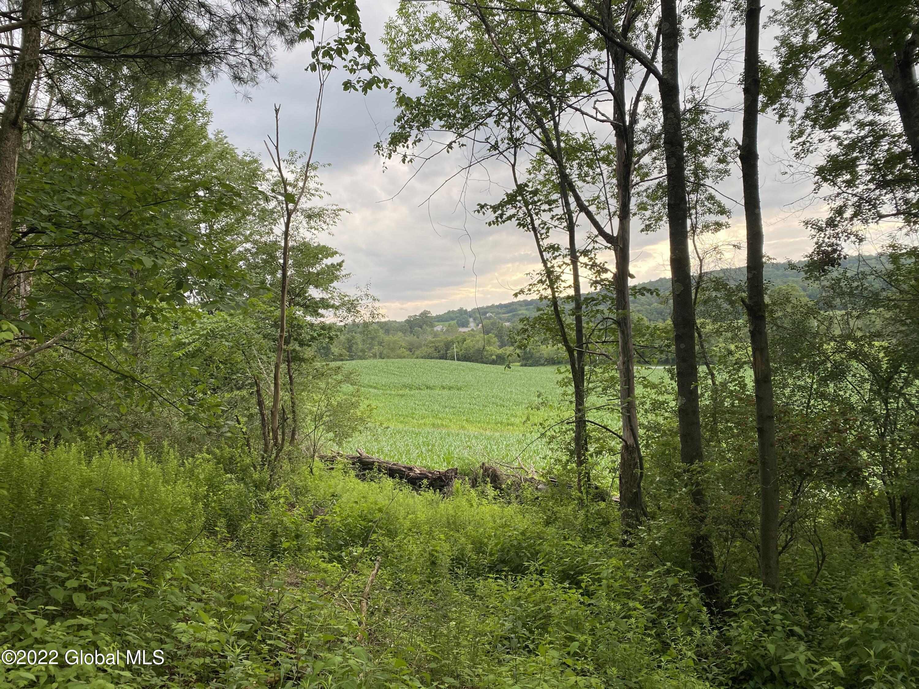 461 King Road Buskirk, NY 12028 - Photo 10 of 12 EB80D5A3-557A-4F63-8A77-E787C3B70649