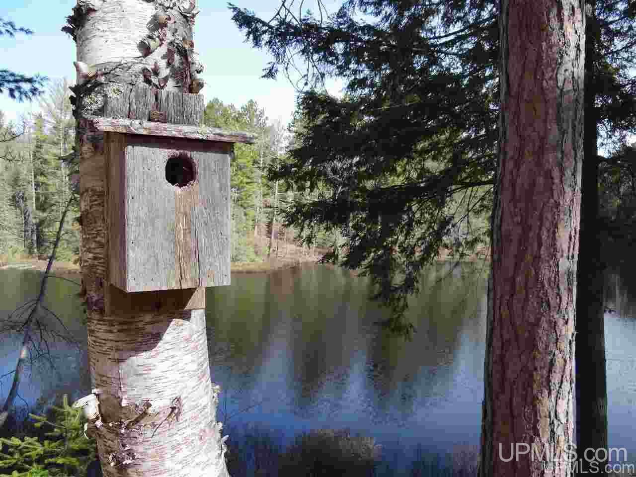 12791 Kelly Lake Road Baraga, MI 49908 - Photo 23 of 47 Gallery Image 23