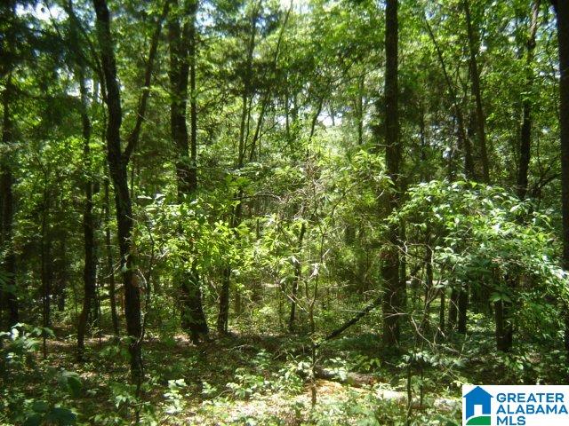 271 County Road, Unit 1 Clanton, AL 35045 - Photo 1 of 2