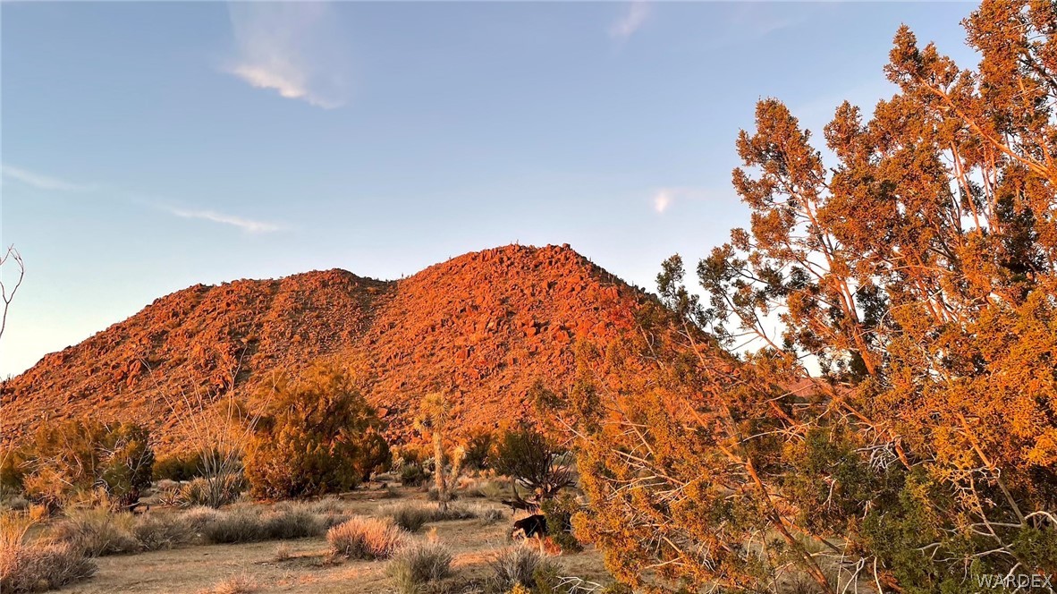 3296 Belle Star Road Yucca, AZ 86438 - Photo 16 of 56 Gallery Image 16