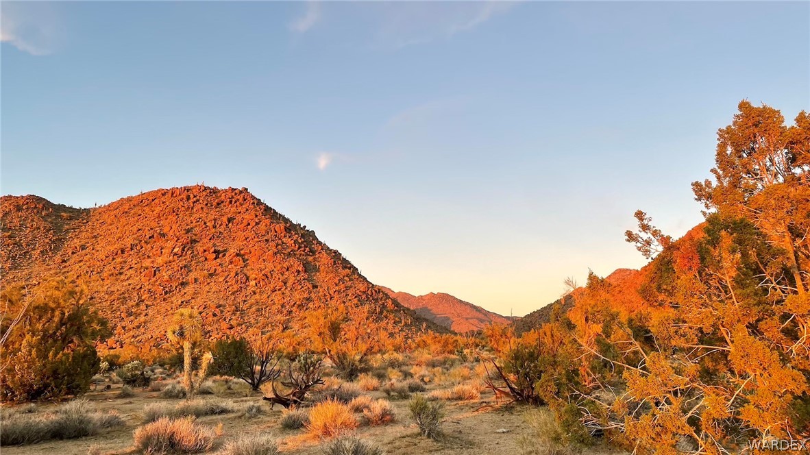 3296 Belle Star Road Yucca, AZ 86438 - Photo 17 of 56 Gallery Image 17
