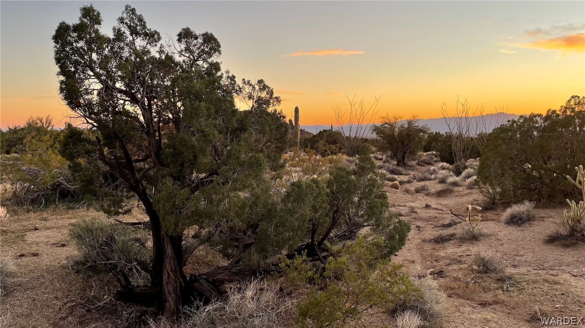 3296 Belle Star Road Yucca, AZ 86438 - Photo 18 of 56 Gallery Image 18