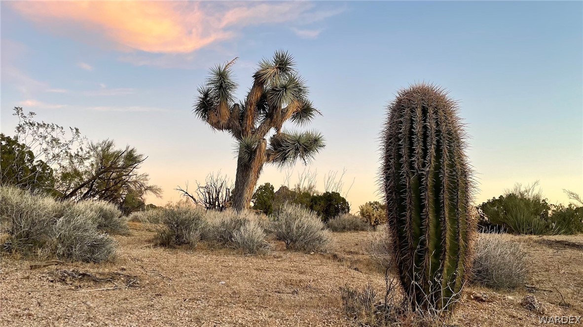 3296 Belle Star Road Yucca, AZ 86438 - Photo 19 of 56 Gallery Image 19