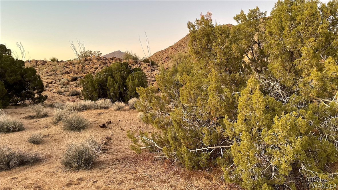 3296 Belle Star Road Yucca, AZ 86438 - Photo 30 of 56 Gallery Image 30