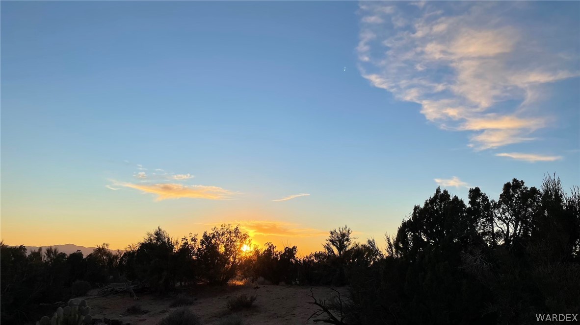3296 Belle Star Road Yucca, AZ 86438 - Photo 5 of 56 Gallery Image 5